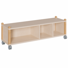 Produktbild fahrbares Regal in Stollenbauweise SCS 4 01F